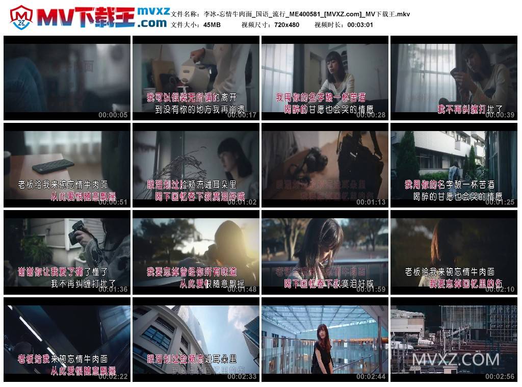 李冰-忘情牛肉面_国语_流行_ME400581